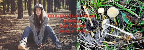 прущие крисы Богородск